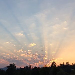 Meet your Posher, Victor